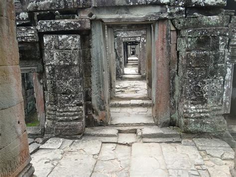 Angkor Wat Architecture Detail Stock Photo - Image of roots, angkor ...