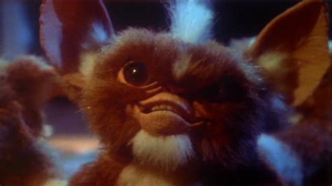 Stripe | Gremlins Wiki | FANDOM powered by Wikia