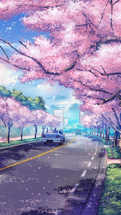 Cherry Blossom Anime Aesthetic Wallpapers - Wallpaper Cave