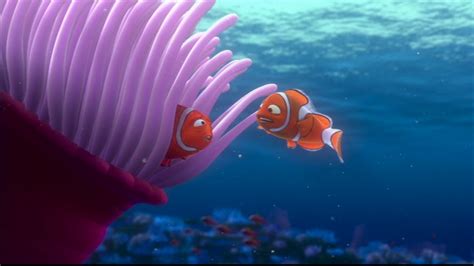 Finding Nemo - Disney Photo (33586115) - Fanpop