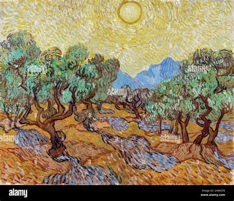 Vincent van Gogh Olive Trees (1889 Stock Photo - Alamy