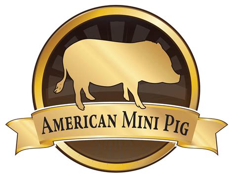 American mini pig association mini pig breeds