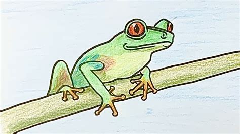 Tree Frog Drawing