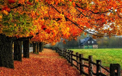 Autumn Pictures For Desktop Backgrounds