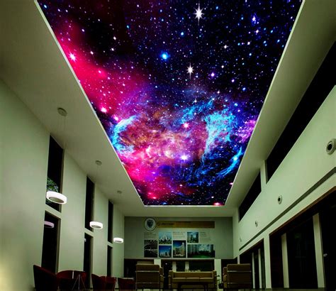 Ceiling Murals Night Sky | Shelly Lighting