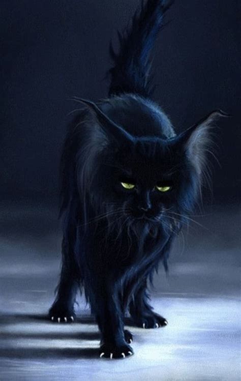 Black Cats as Witches' Familiars Photo | Black cat art, Cats, Black cat