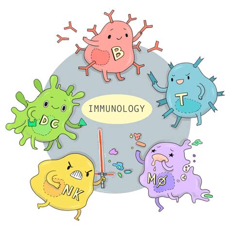 Immune System: Parts, Function, and Diseases – StudiousGuy