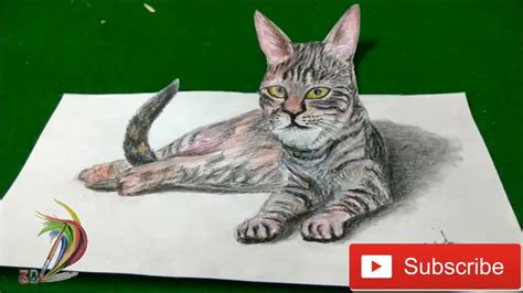 Realistic 3D Cat Drawing