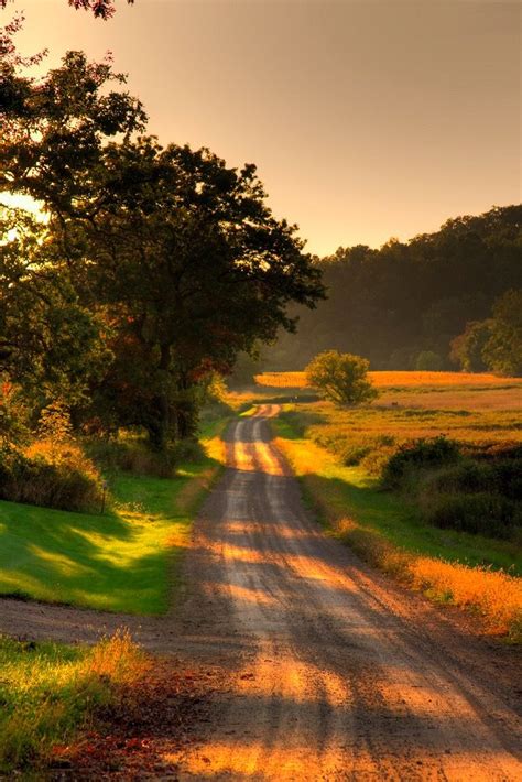 Country Road on Summer Dusk | Country landscaping, Country roads, Beautiful nature