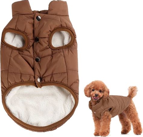 Clothing & Accessories for Dogs - Amazon.co.uk