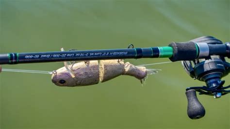 Best Swimbait Rods 2022 - (Our Top 6) - Bass Tackle Lures