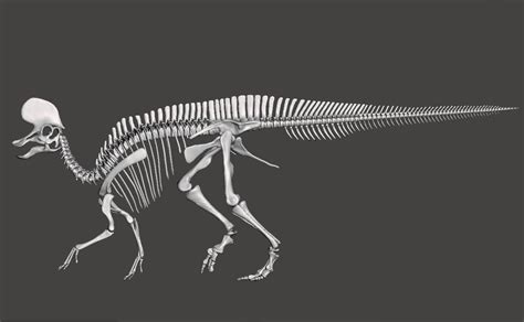 STL file Dinosaur Lambeosaurus complete skeleton・Template to download ...