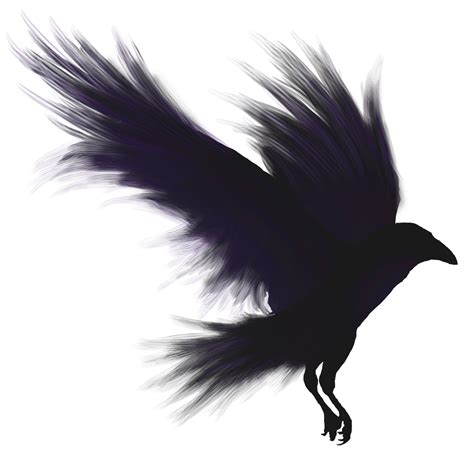 Bird Flight Common raven American crow - raven png download - 1024*1024 ...