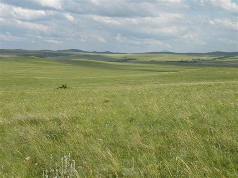 Eurasian Steppe | Eurasian steppe, Steppe, Grassland