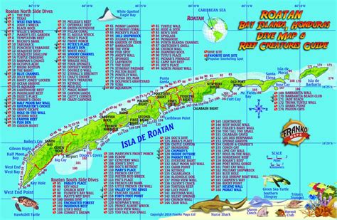 Franko Maps Roatan Honduras Reef Creatures Card