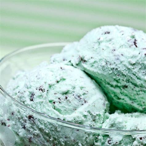 Homemade Mint Chocolate Chip Ice Cream | Chew Out Loud