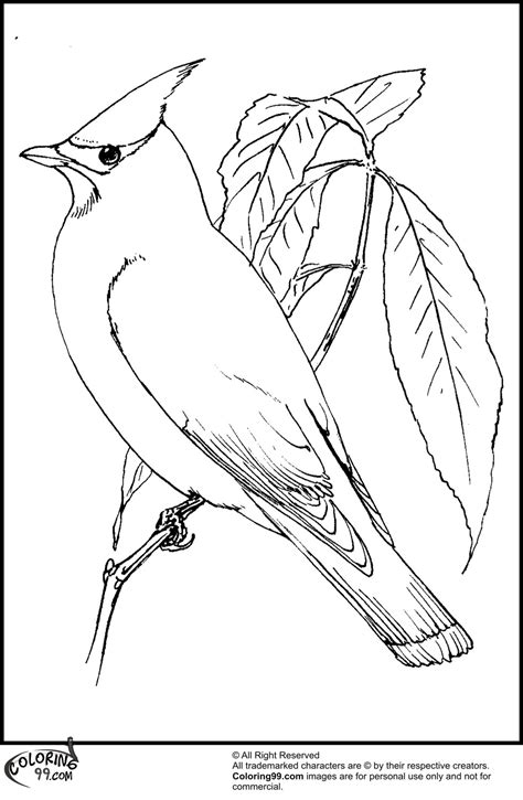 Printable Cardinal Coloring Page