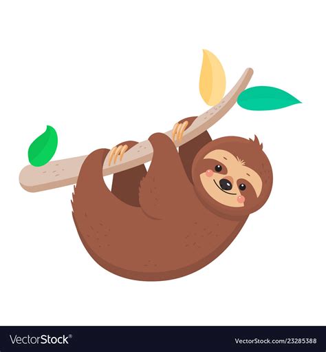 Joyful sloth hanging on a branch Royalty Free Vector Image