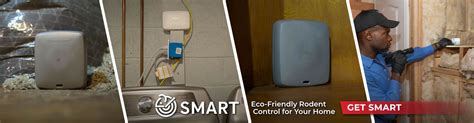 Environmentally Friendly Mice Pest Control | Viking Pest Control