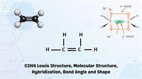 C2H4 Lewis Structure, Molecular Structure, Hybridization, Bond Angle ...