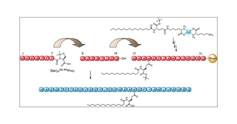 13+ Semaglutide Peptide - DaraHezekiah