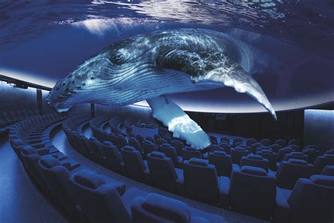 Palma Aquarium - Turisme Petit. Turismo familiar por Mallorca