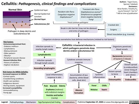 Cellulitis | Calgary Guide