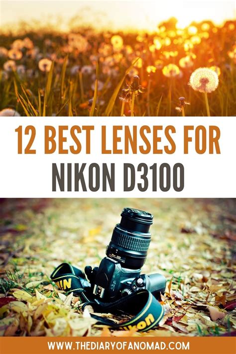 12 Best Nikon D3100 Lenses in 2022: The Ultimate Guide & Reviews