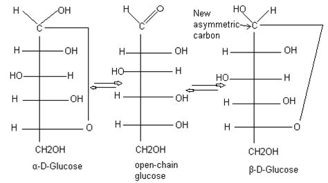 Glucose Structure - Diagrams, Examples, Physical Properties