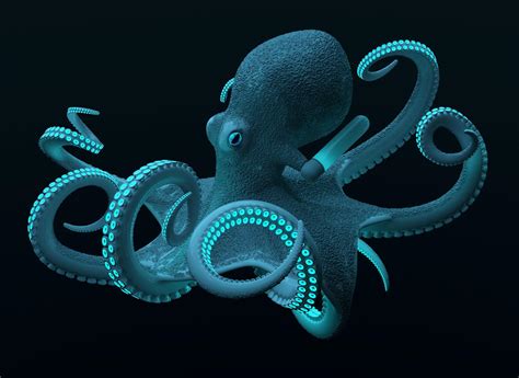 Deep Sea Creatures Wallpapers - Top Free Deep Sea Creatures Backgrounds - WallpaperAccess