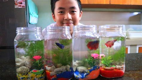 Homemade Betta Fish Tank Decorations | Shelly Lighting