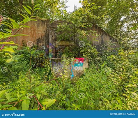 Overgrown WWII Ammunition Storage Bunker Stock Image - Image of miles, missouri: 227846639