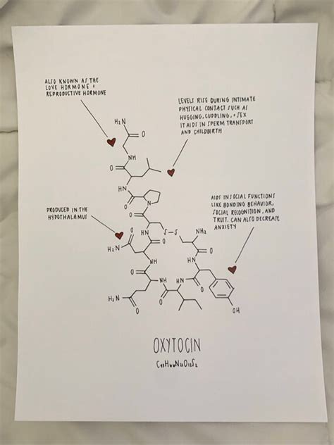 Oxytocin Molecule Diagram Print Oxytocin Molecule Art Print | Etsy