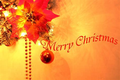 Merry Christmas Background Free Stock Photo - Public Domain Pictures