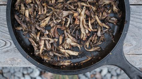 Crispy Roasted Hen Of The Woods Mushrooms (Extra Garlicky and Spicy) - Molé in the Wall