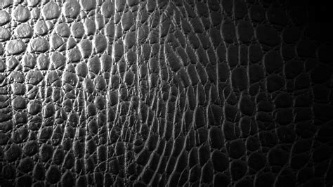 Alligator Skin Wallpaper - WallpaperSafari