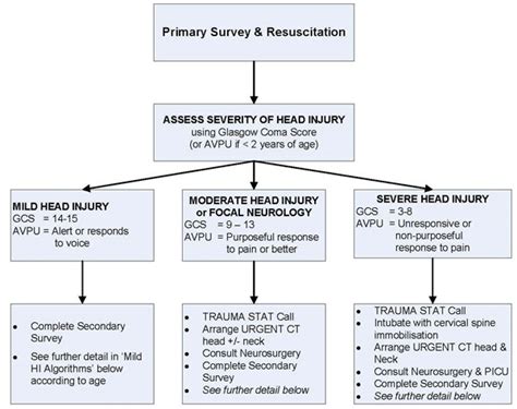 HEAD INJURY RULES