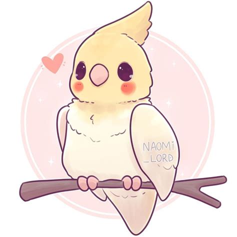 Kawaii Cockatiel Drawing