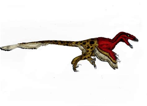 Utahraptor Pictures & Facts - The Dinosaur Database