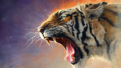 🔥 [50+] 4K HD Tiger Wallpapers | WallpaperSafari