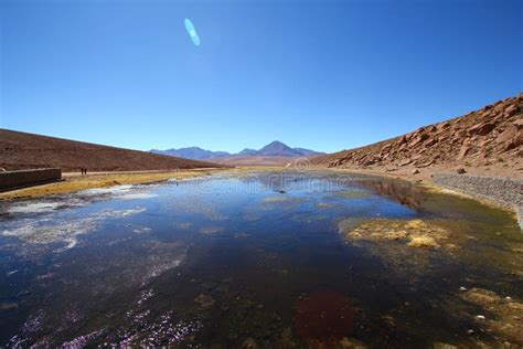 Oasis in the Atacama Desert Stock Image - Image of geology, dawn: 21826581