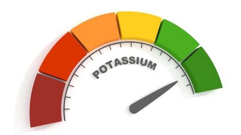 How to Check Potassium Levels at Home? 3 Best Purpose