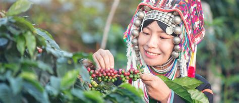 Ultimate Guide To Coffee Regions, Bean Origins & Flavors