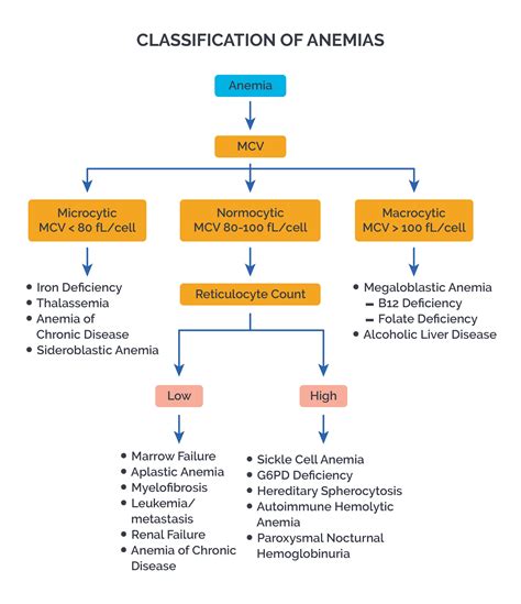 Anemia Types And Characteristic Finding Classification Of Anemias | sexiezpix Web Porn