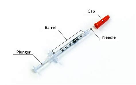 Syringe And Needle Sizes How To Choose (Guide), 53% OFF