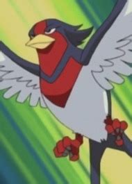 Swellow | Anime-Planet