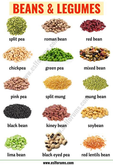 Types of Beans: 15 Different Types of Beans & Legumes with the Picture - ESL Forums | Dog food ...