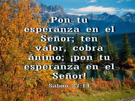 Biblia Paisajes Y Maravillas Salmo 274 Salmos Biblia Cristiana | Images ...