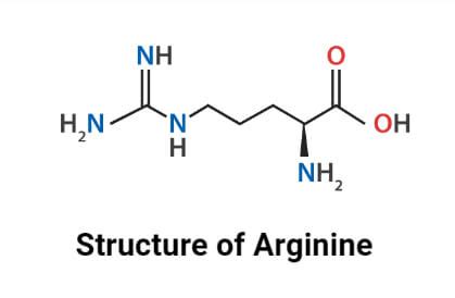 Arginine- Definition, Structure, Sources, Properties, Biosynthesis, Uses