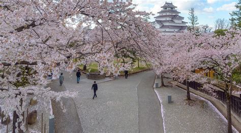 Eat Local in the Tohoku Region